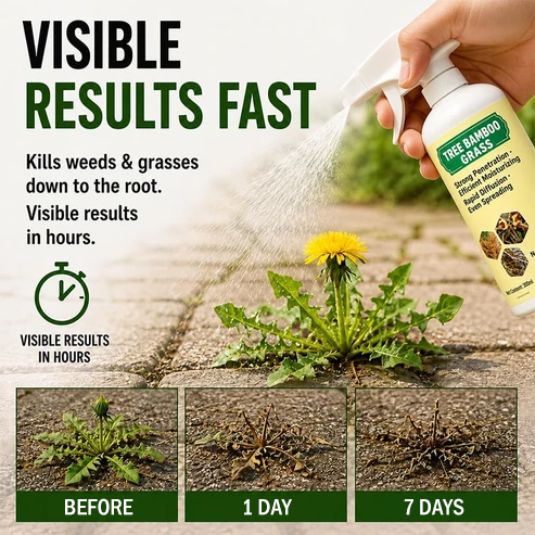 2026 NEW ARRIVAL SALE 🔥🔥 - Fast-Acting Natural Weed & Grass Killer Spray🪄🌿