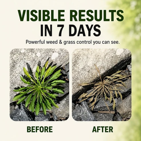 2026 NEW ARRIVAL SALE 🔥🔥 - Fast-Acting Natural Weed & Grass Killer Spray🪄🌿